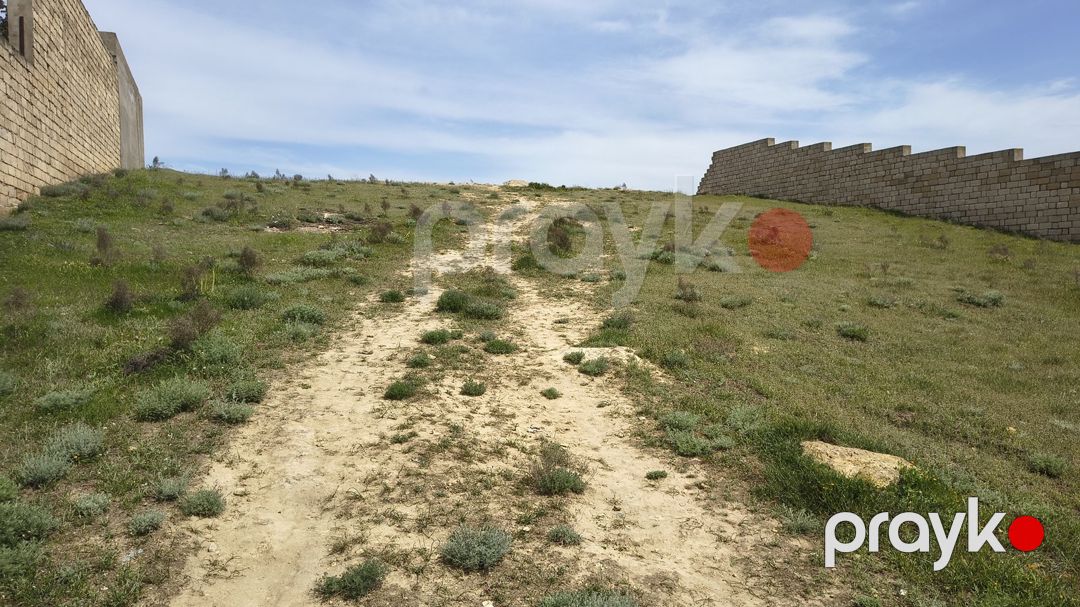 Satılır torpaq 22 sot — Torpaq, Bakı (2)