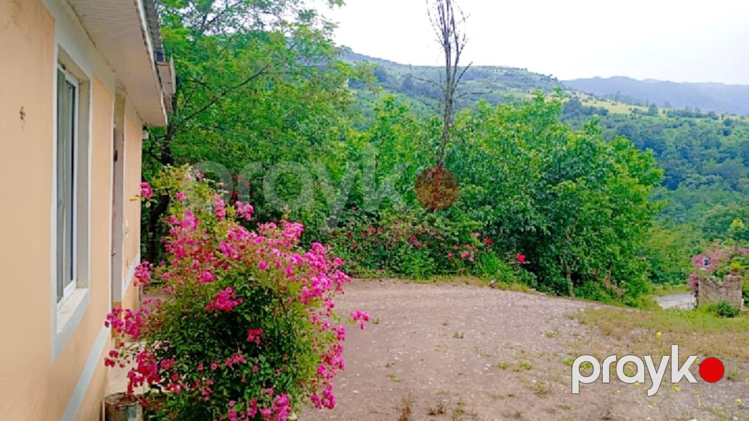 Həyət evi kirayə verilir, Lerik r — Ev, villa, Lerik (8)