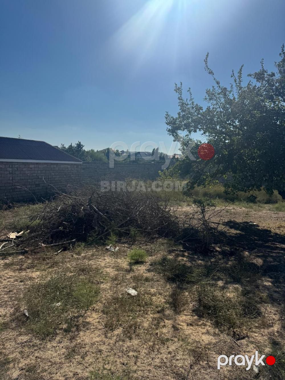Bilgəhdə torpaq satılır — Torpaq (2)