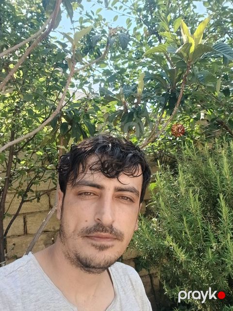 Salam fehle işi axyarıram Bineqedi Novxanı yolunda qalıram olsa xeber — Mehdiabad