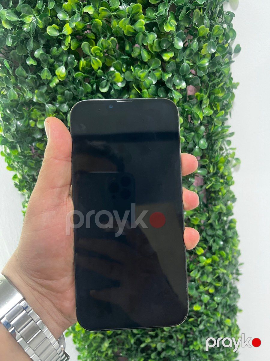 Apple iPhone 13 Pro Max Alpine Green 256GB/6GB — Smartfonlar, Bakı (2)