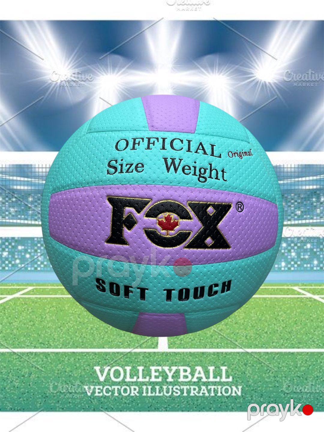 Voleybol topu Fox-L6001, firuzəyi/bənövşəyi — Mallar, Bakı (2)
