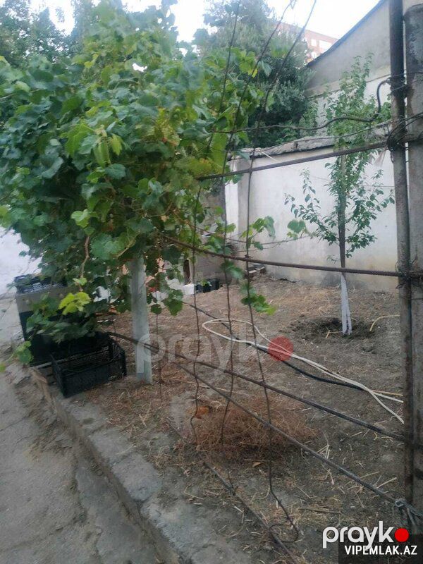 Binəqədi rayonunda 1 otaqlı Torpaq Satılır, 4 sot — Torpaq, Bakı (3)