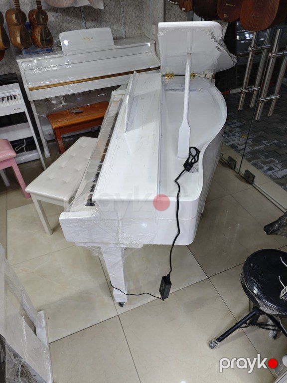 Elektro royal — Musiqiə alətləri, Bakı (6)