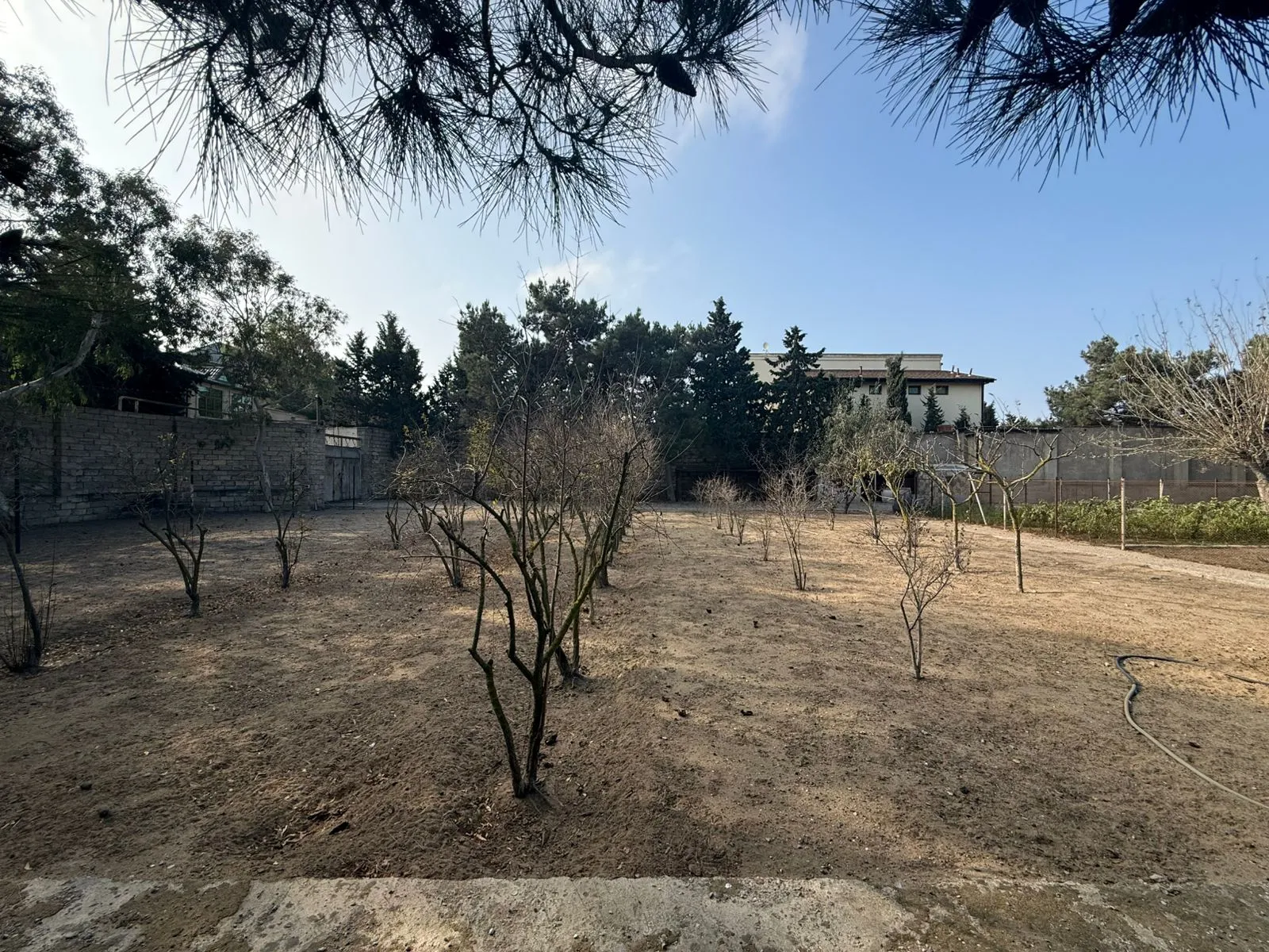 Şüvəlan, Torpaq satılır - 22 sot — Torpaq, Bakı (2)