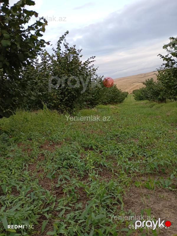Satılır Torpaq sahəsi, 100 sot, Qusar — Torpaq, Qusar (5)