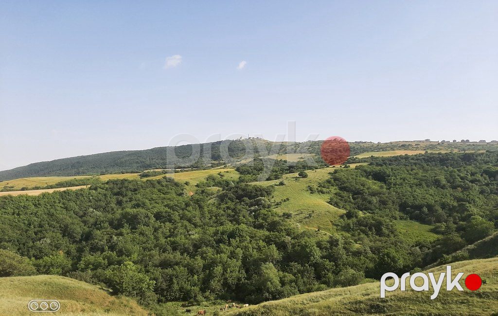 1100 sot torpaq sahəsi, Şamaxı ş — Torpaq, Şamaxı (3)