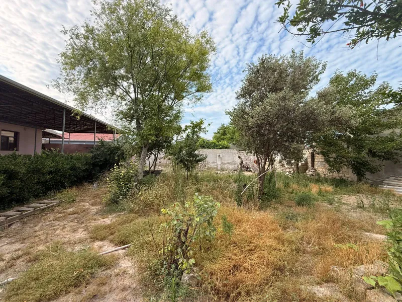 Şağan, Torpaq satılır - 10 sot — Torpaq, Bakı (3)