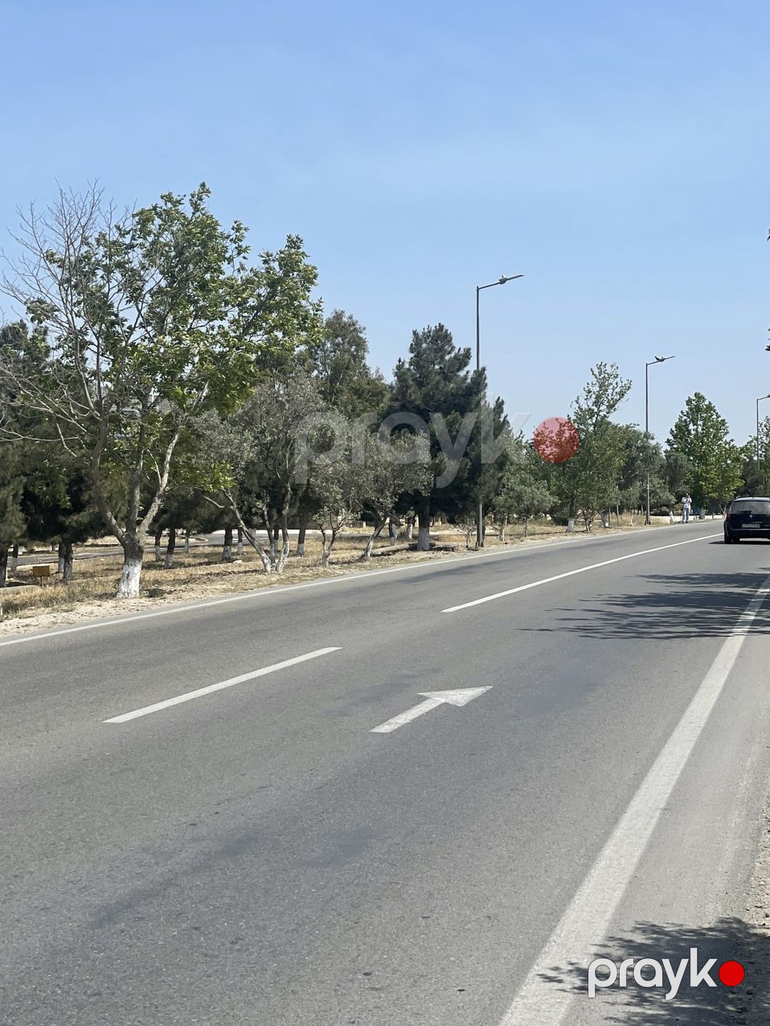 Satılır torpaq 12 sot — Torpaq, Bakı (3)