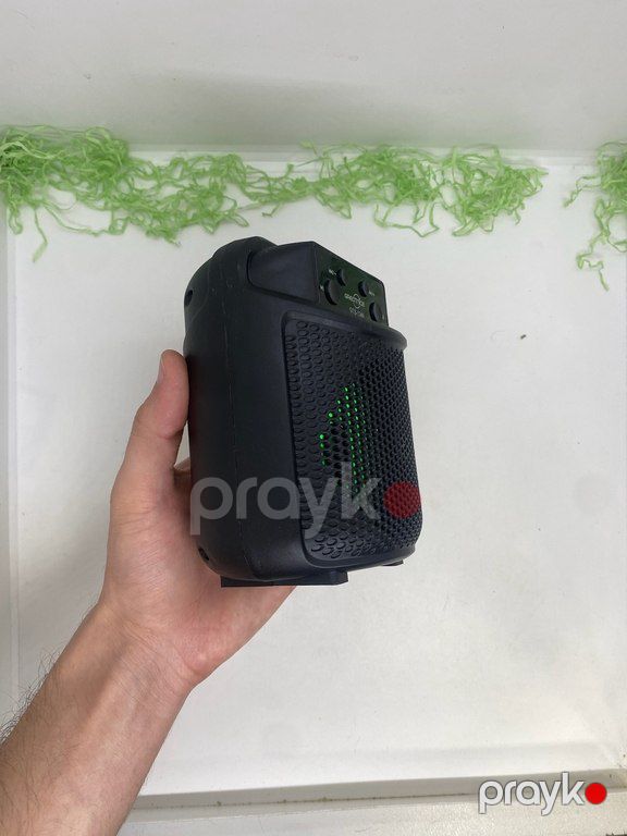 Greatnice GTS-1349 Mini dinamik — Səs texnikası, Bakı (9)
