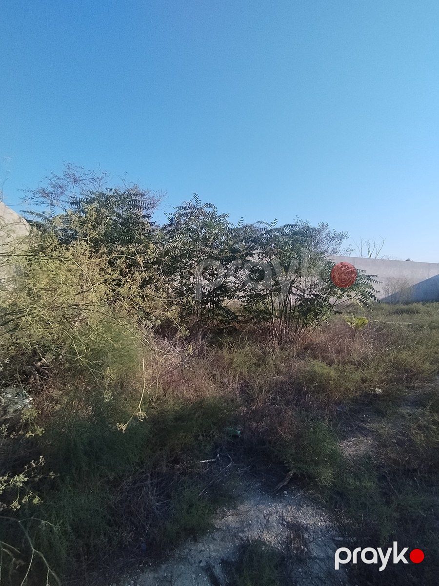 Satılır torpaq 25 sot — Torpaq, Bakı (5)