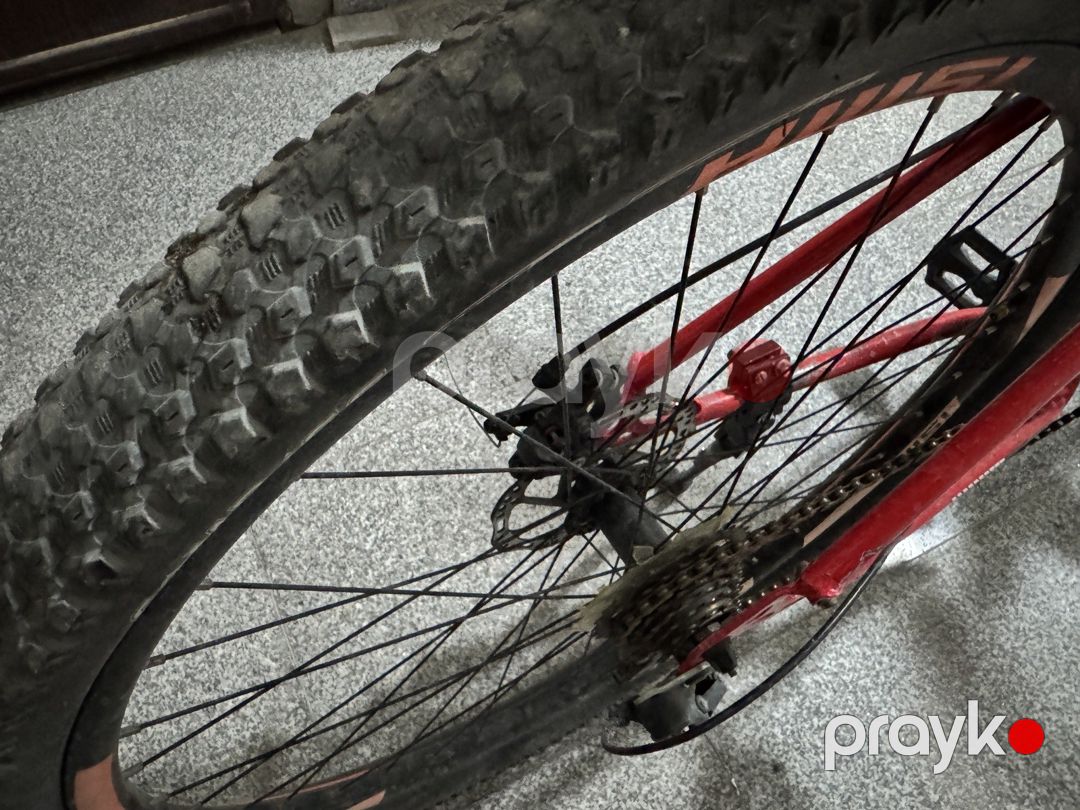 Velosiped 29” — Velosipedlər, Bakı (3)