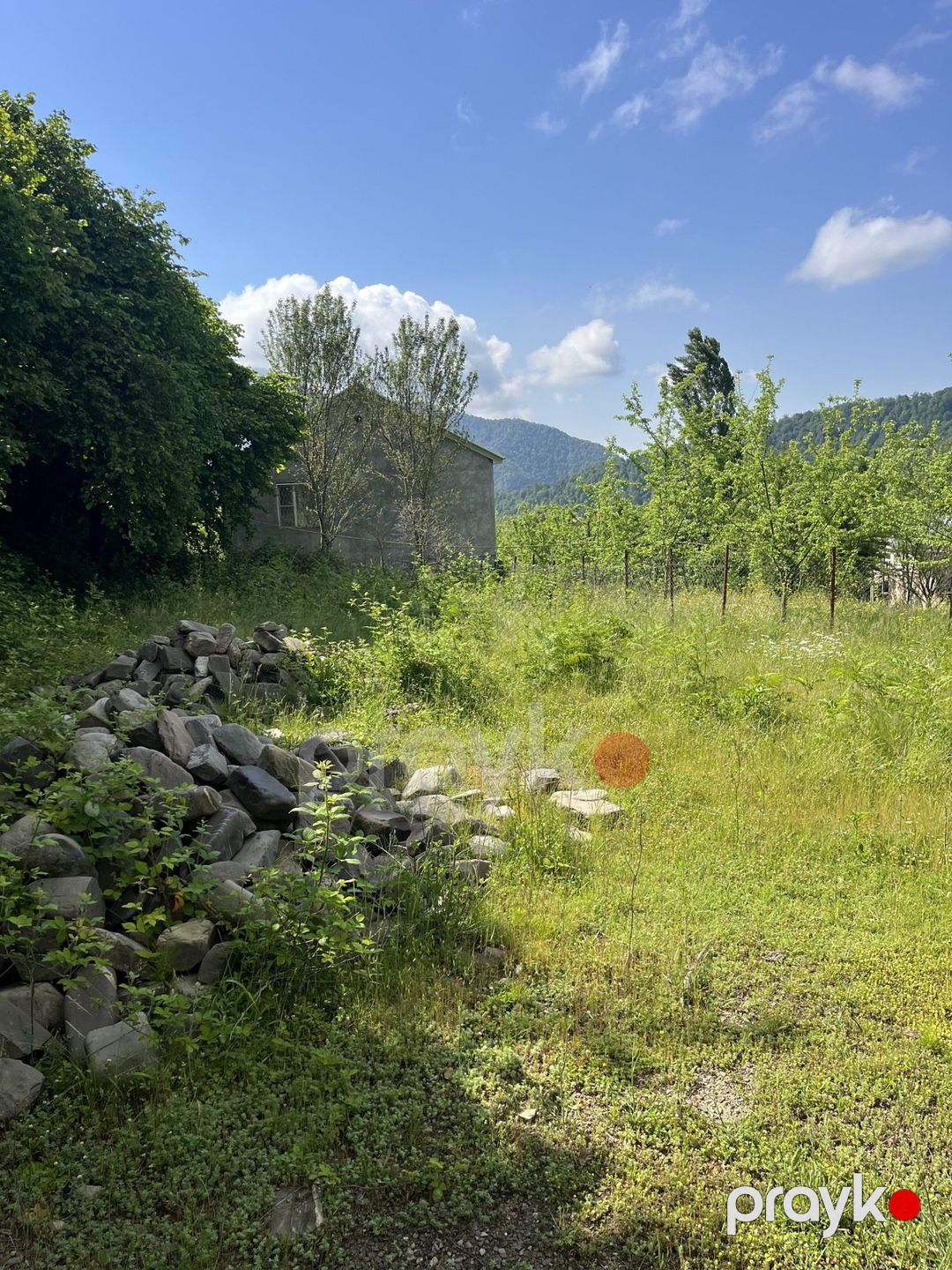 Satılır torpaq 20 sot — Torpaq, İsmayıllı (3)