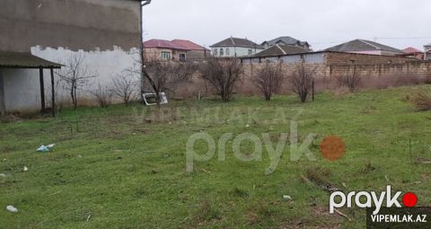 Abşeron rayonunda 1 otaqlı Torpaq Satılır, 10 sot — Bakı