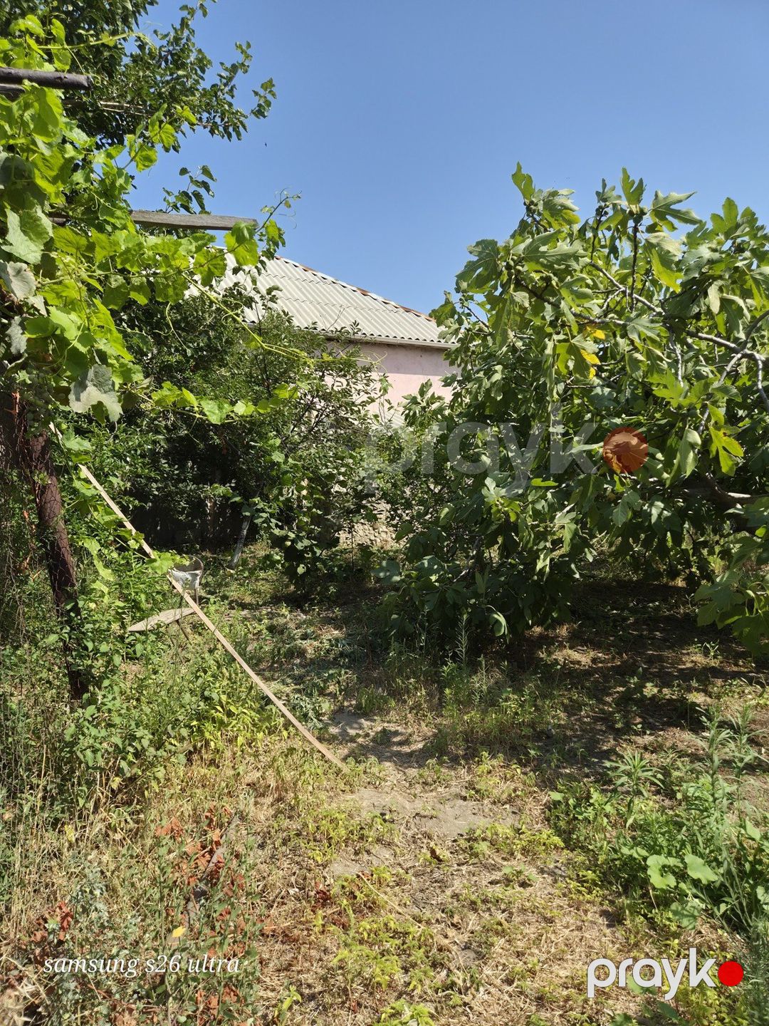 Satılır torpaq 4.5 sot — Torpaq, Sumqayıt (2)