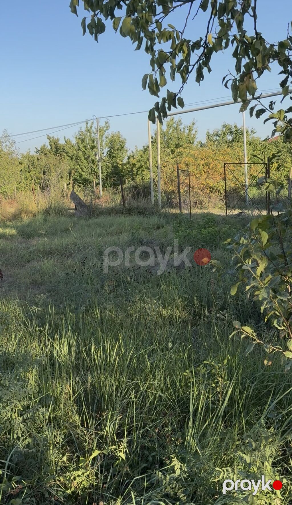 12 sot, Kənd təsərrüfatı, Maklerlər narahat etməsin, Bələdiyyə — Torpaq, Zərdab (2)
