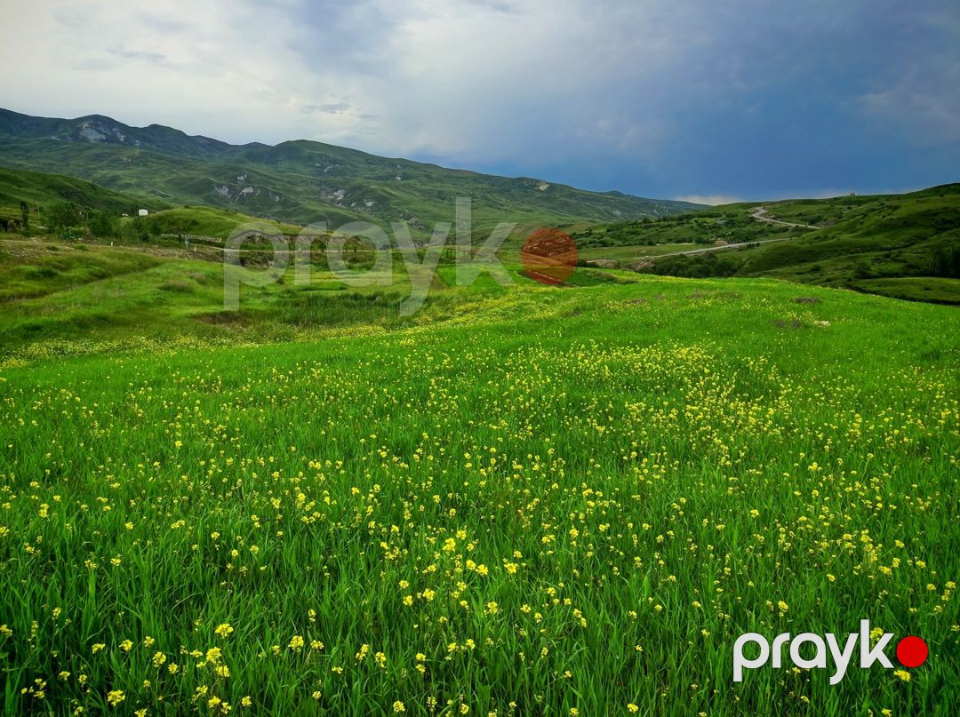 151 sot torpaq sahəsi, Şamaxı r — Torpaq, Şamaxı (2)