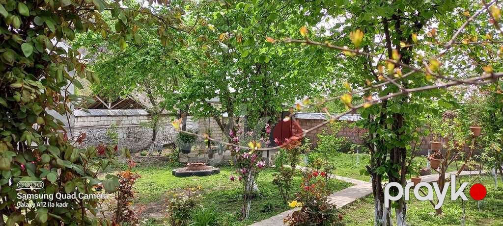Həyət evi kirayə verilir, Vəndam qəs — Ev, villa, Qəbələ (6)