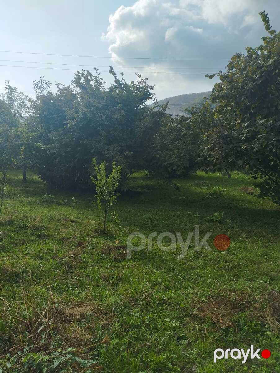 Satılır torpaq 20 sot — Torpaq, Qax (7)