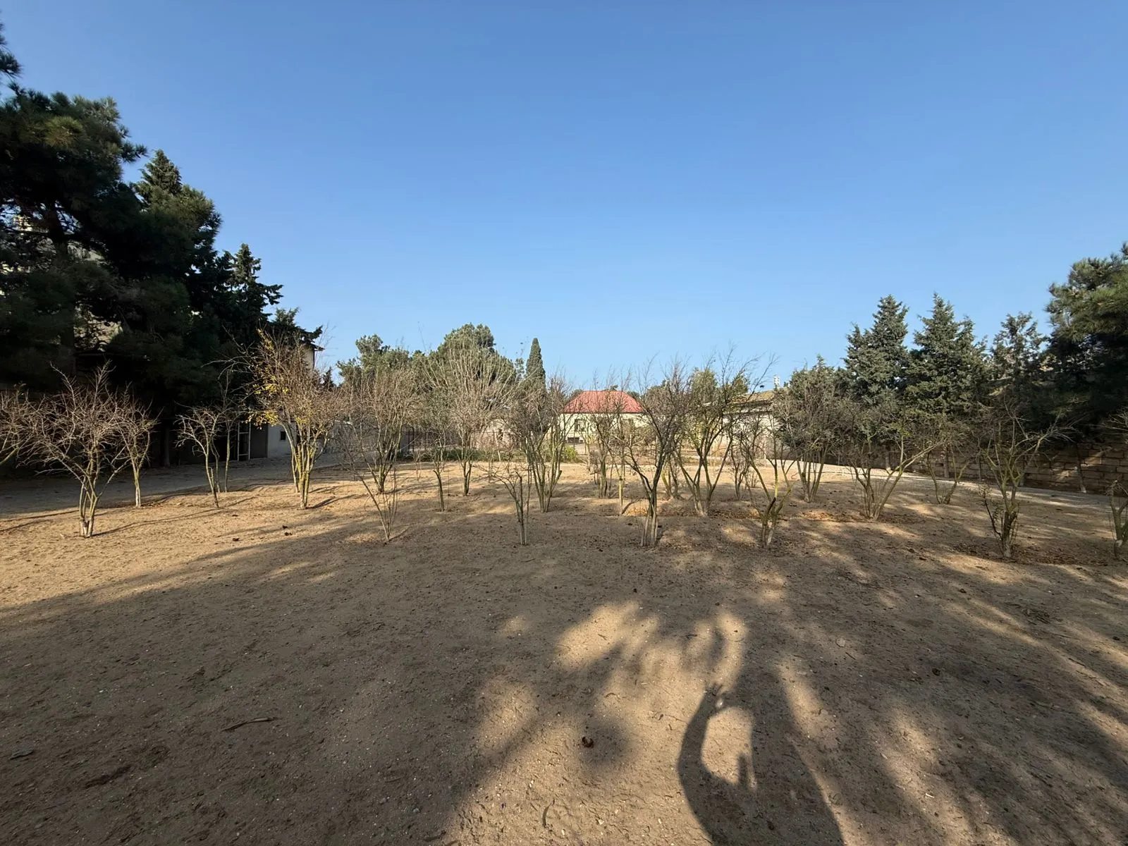 Şüvəlan, Torpaq satılır - 22 sot — Torpaq, Bakı (3)
