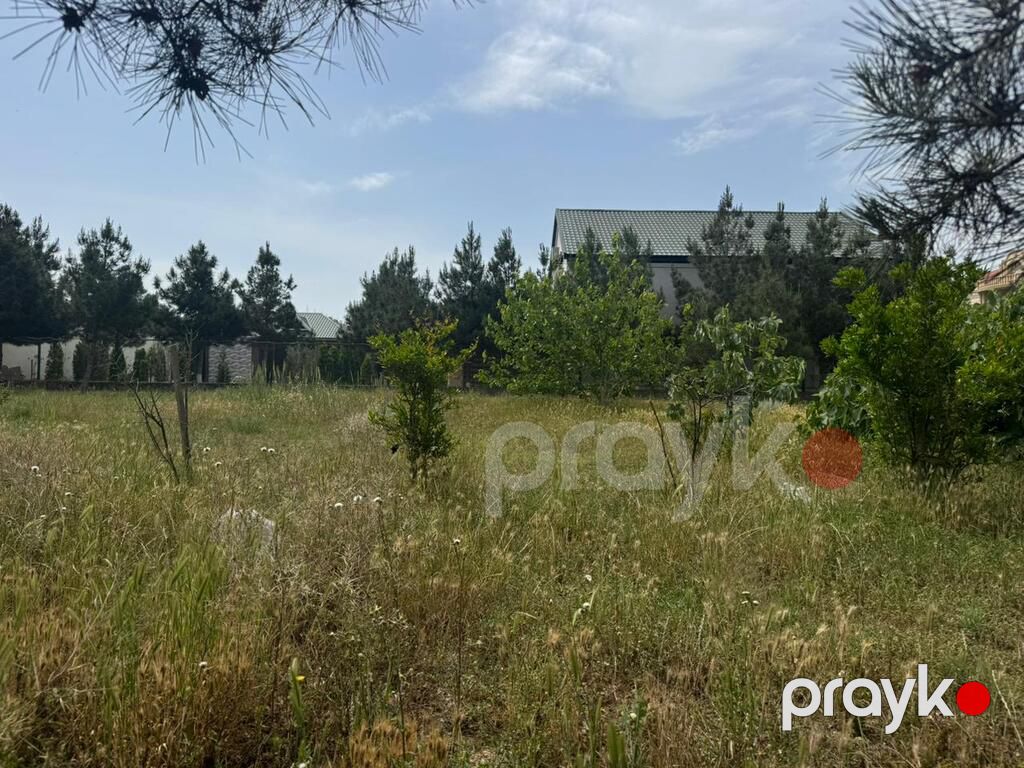 12 sot torpaq sahəsi, Şüvəlan qəs — Torpaq, Bakı (8)