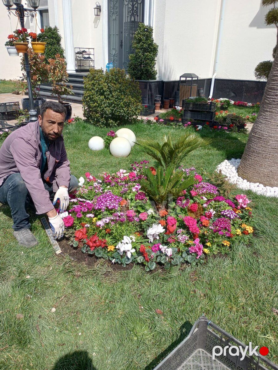 Bağban işi axtarıram — İş axtarıram, Bakı (2)
