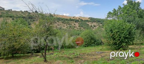 20 sot torpaq sahəsi, Qusar r — Qusar