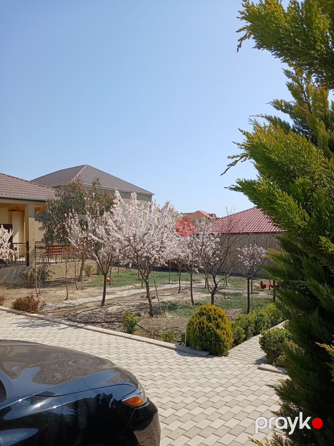 Satılır 5 otaqlı həyət evi/bağ evi 450 m² — Ev, villa, Bakı (8)