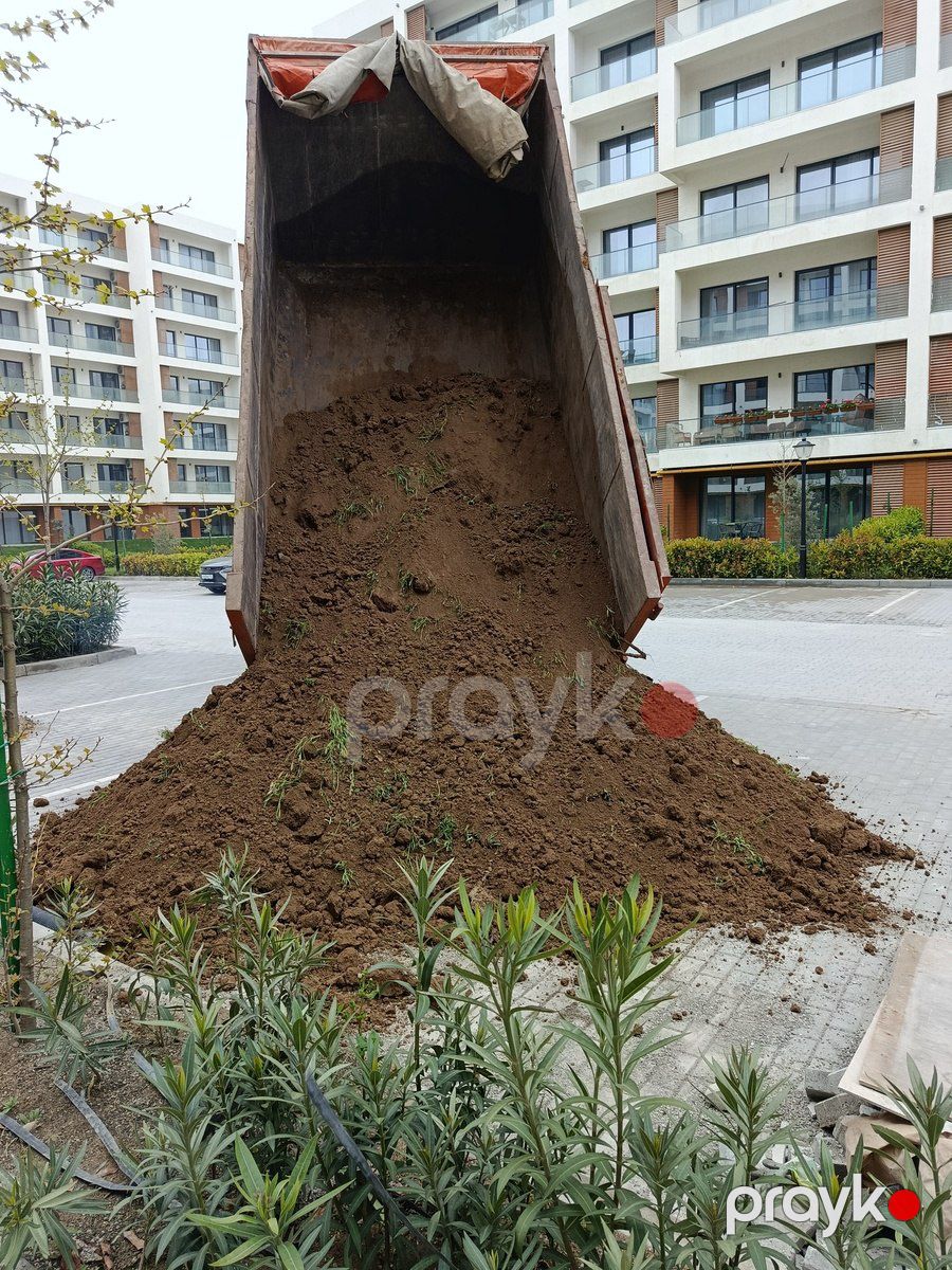 Qara torpaq və peyin — Dacha və bağ, Bakı (2)