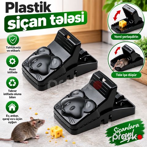 Siçan tələsi, qara — Bakı