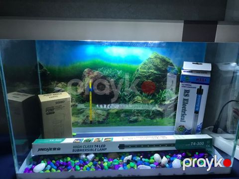 Dördbucaq akvarium, Boş, 35 l, Ünvandan götürmə, Ödənişli çatdırılma — Saray