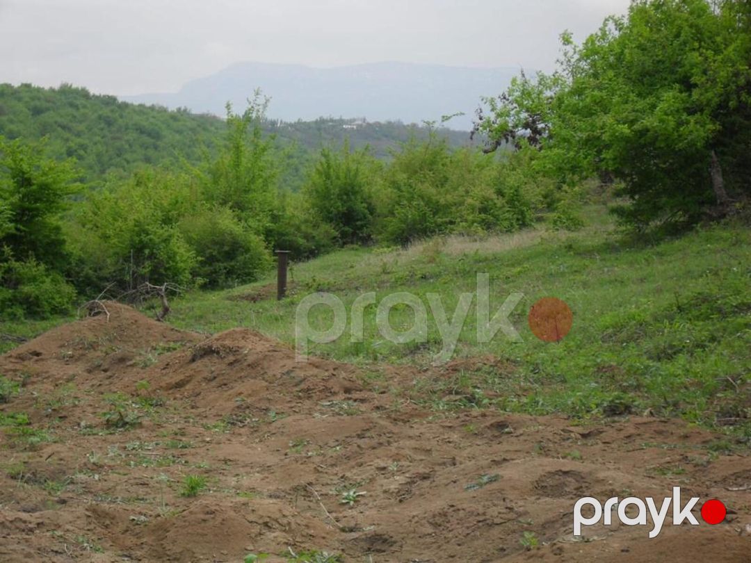 Satılır 2 otaqlı həyət evi/bağ evi 120 m² — Ev, villa, Qusar (10)