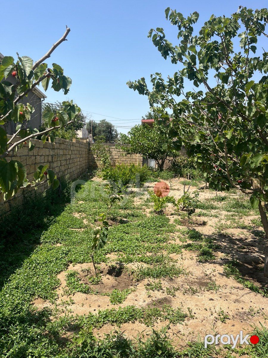 10 sot torpaq sahəsi, Qurd dərəsi — Torpaq, Sumqayıt (5)