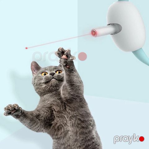 Pişiklər üçün oyuncaq smartlaser_001 — Bakı