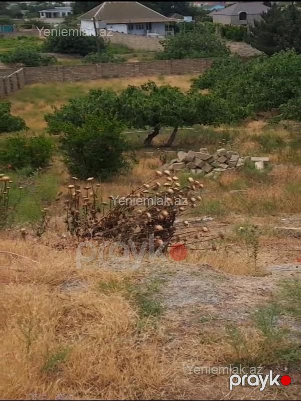 Satılır Torpaq sahəsi, 20 sot, Sabunçu rayonu — Torpaq, Bakı (3)