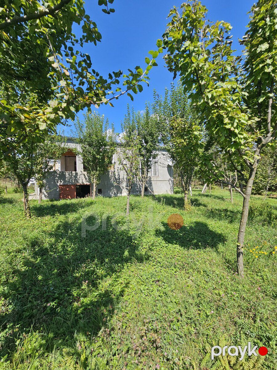 Həyət evi, İsmayıllı r — Ev, villa, İsmayıllı (5)