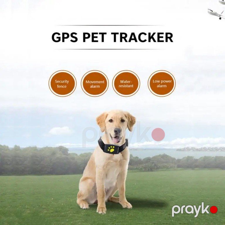 GPS ошейник для собак и кошек — Heyvan malları, Bakı (7)