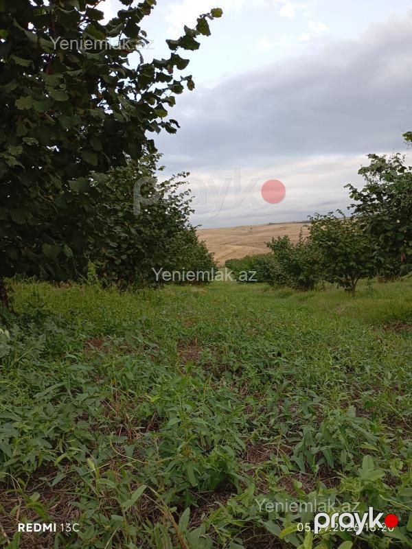 Satılır Torpaq sahəsi, 100 sot, Qusar — Torpaq, Qusar (3)