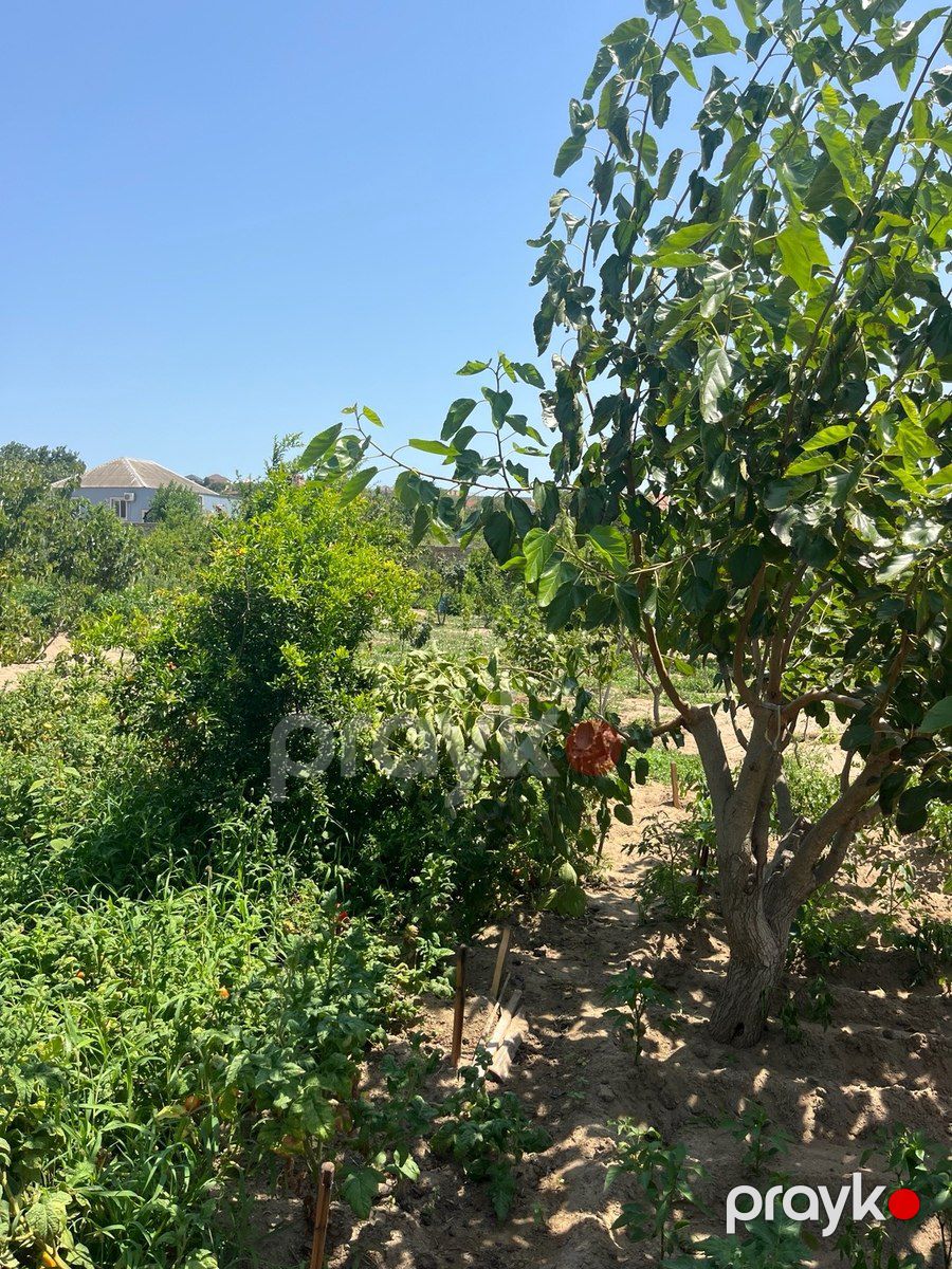 10 sot torpaq sahəsi, Qurd dərəsi — Torpaq, Sumqayıt (3)