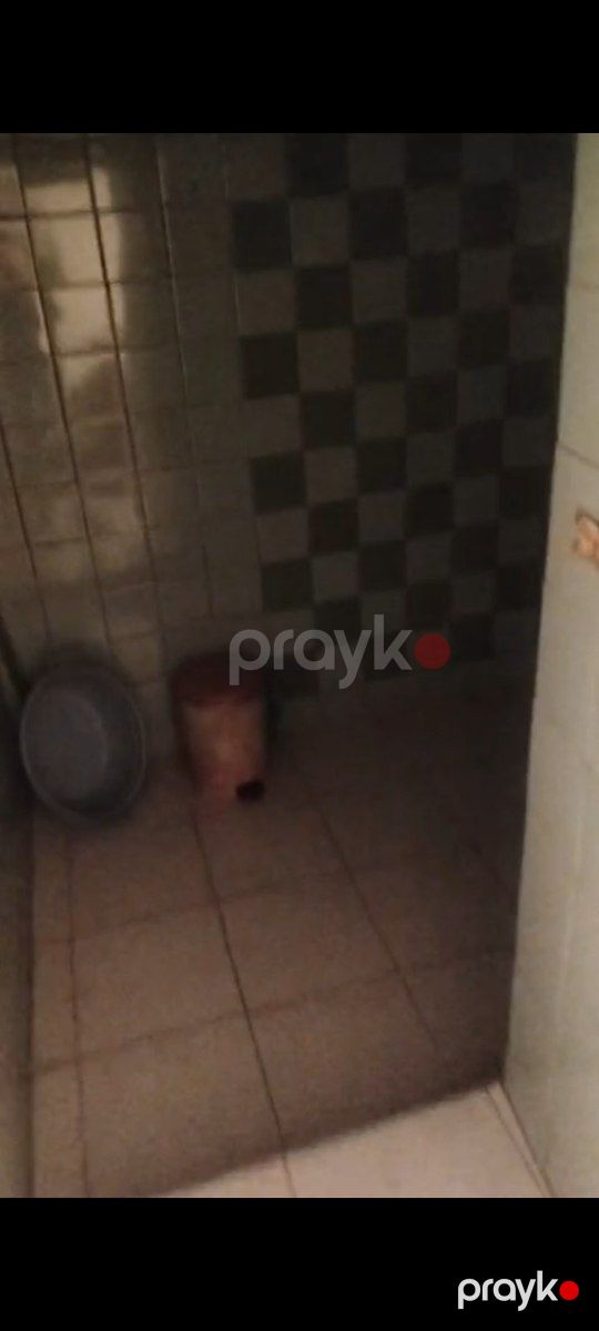Həyət evi kirayə verilir, Binəqədi r — Ev, villa, Bakı (10)