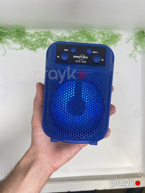 Greatnice GTS-1349 Mini dinamik — Səs texnikası, Bakı (4)