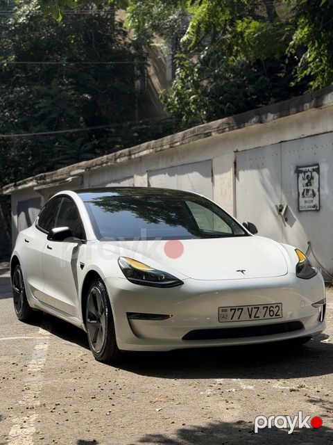 Tesla Model 3 icarəsi — Bakı