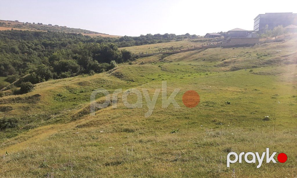 1100 sot torpaq sahəsi, Şamaxı ş — Torpaq, Şamaxı (12)