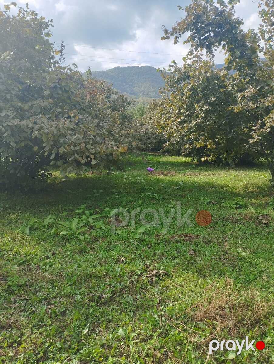 Satılır torpaq 20 sot — Torpaq, Qax (8)