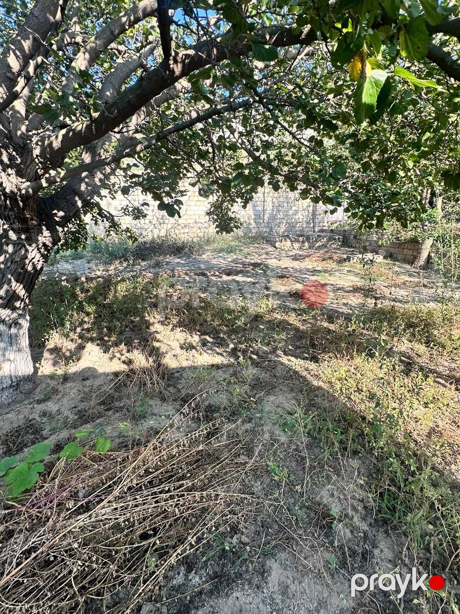 2 sot torpaq sahəsi, Novxanı bağları — Torpaq, Bakı (4)