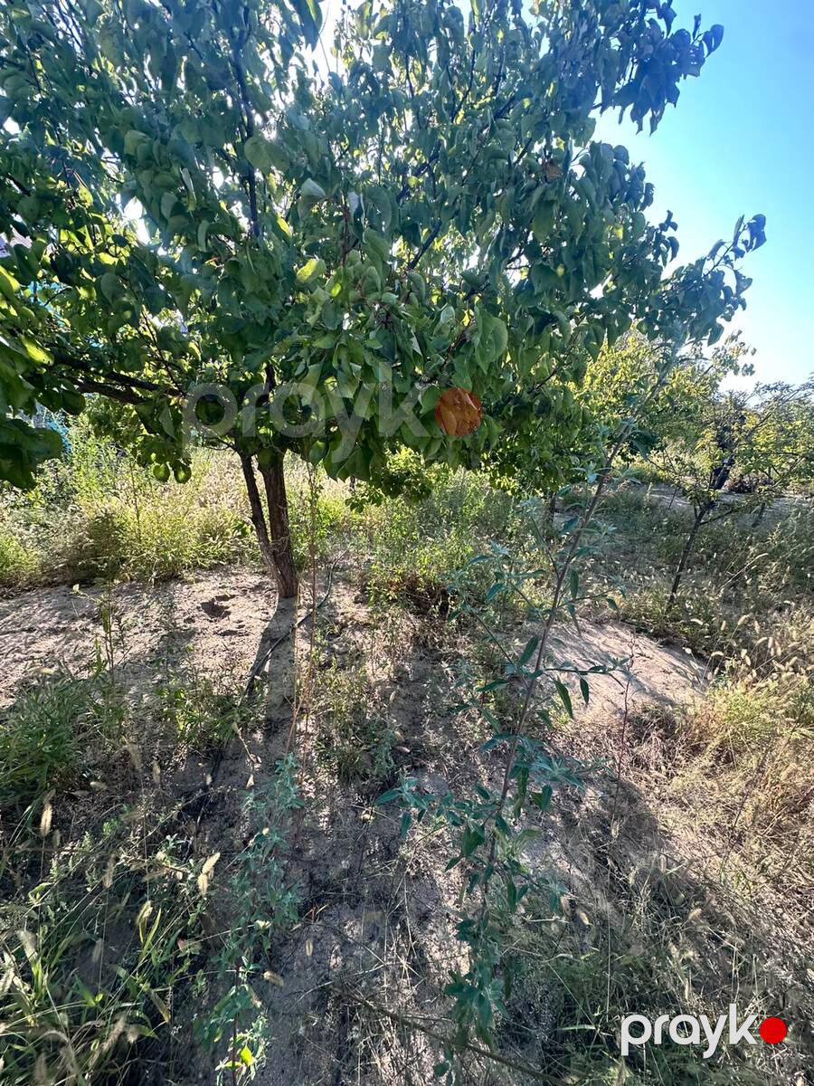 3 sot torpaq sahəsi, Novxanı qəs — Torpaq, Bakı (9)