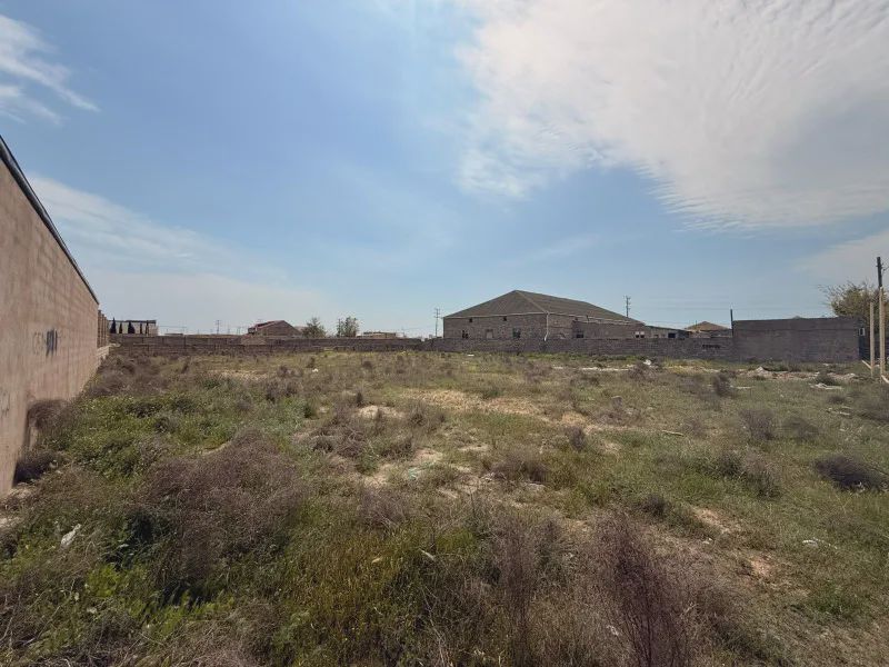 For sale: land, 14 sot — Torpaq, Bakı (2)