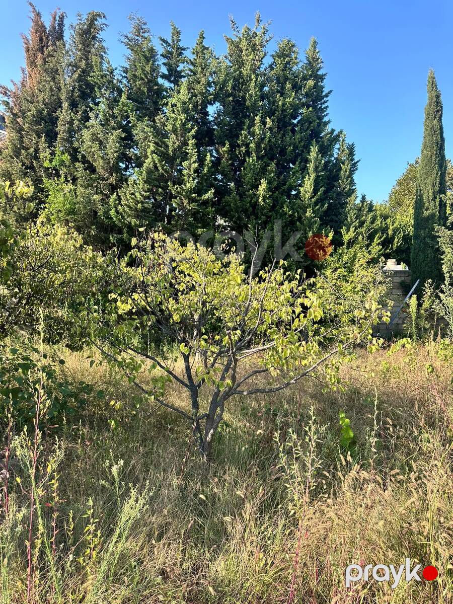 4 sot torpaq sahəsi, Novxanı bağları — Torpaq, Bakı (6)