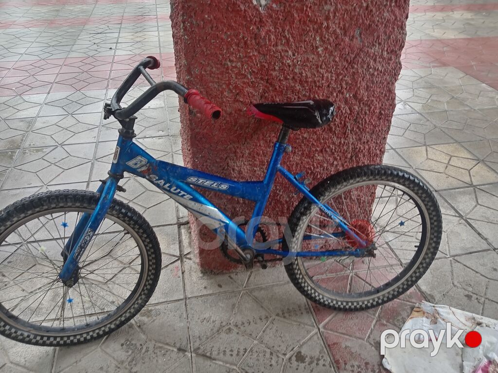 Uşaq velosipedi – Stels Salute (BMX tərzli) - Rəng: mavi - Çərçivə — Uşaq velosipedləri, Bərdə (3)
