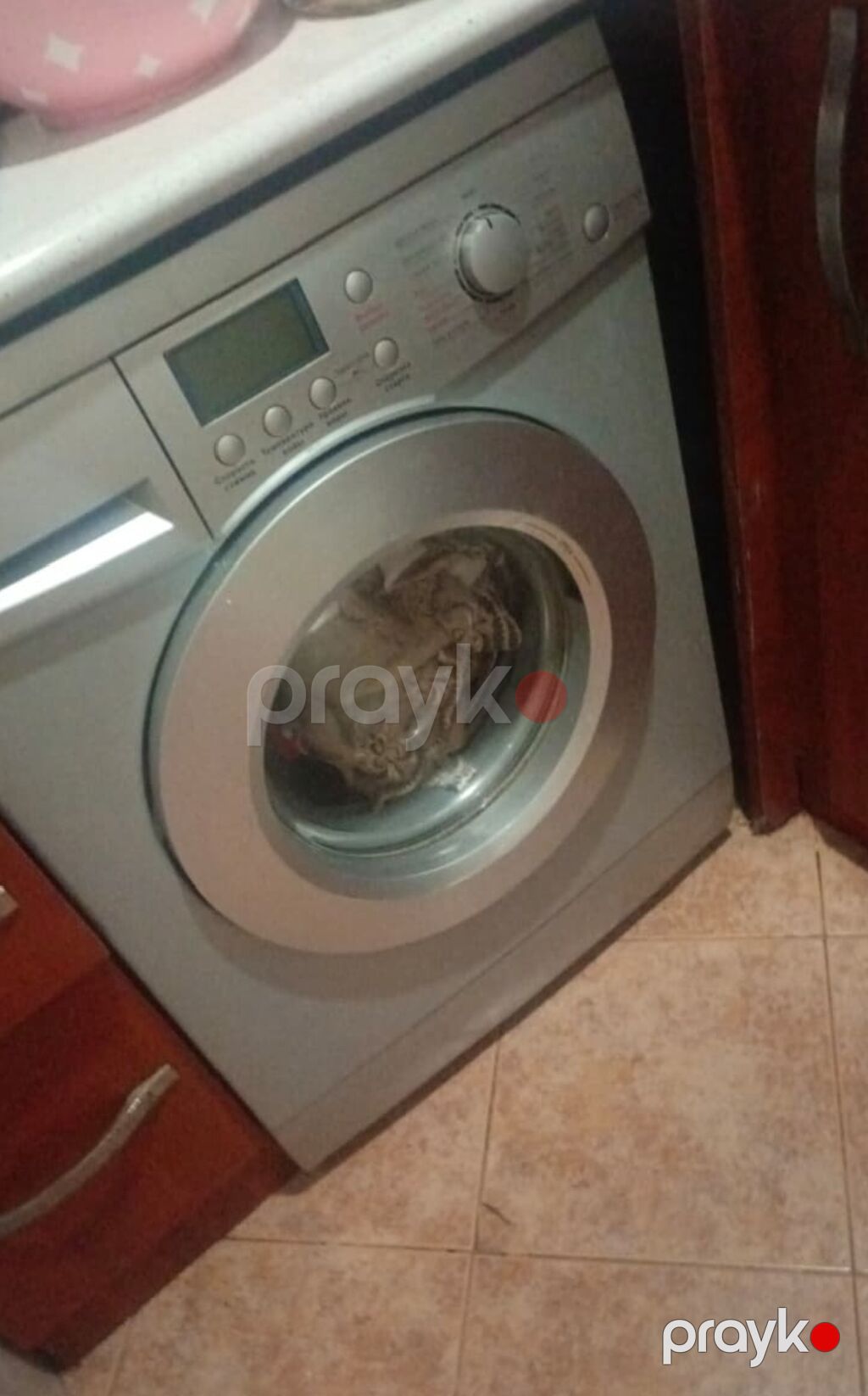 Beko NoFrost çoxkameralı soyuducu - Paslanmayan polad gövdə, müasir — Soyuducular, Bakı (4)